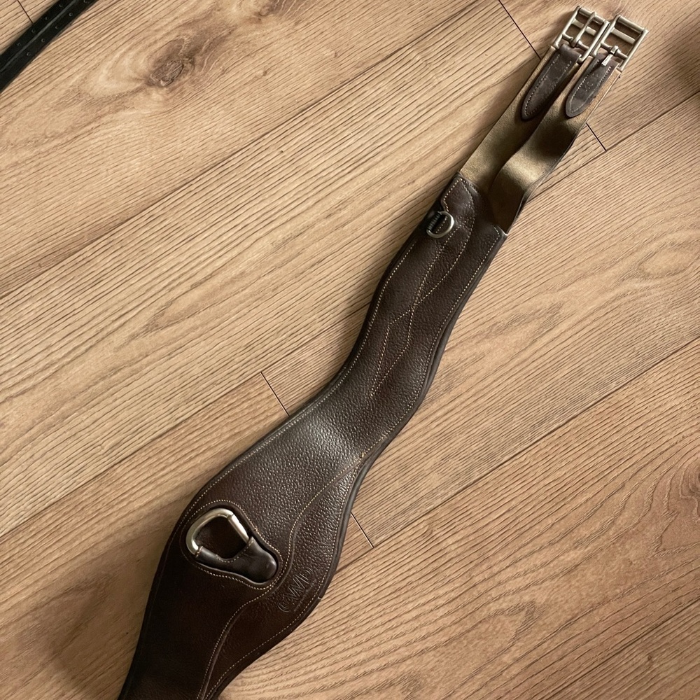CWD anatomical girth 52”